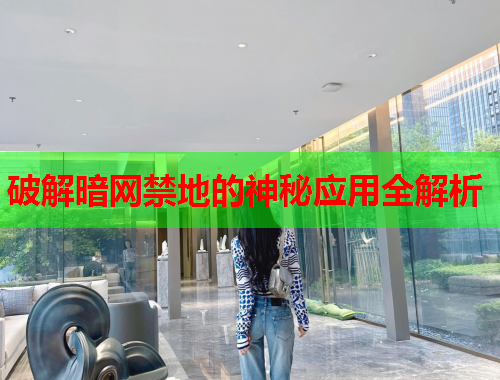 破解暗网禁地的神秘应用全解析