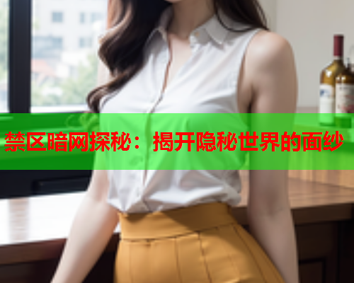 禁区暗网探秘：揭开隐秘世界的面纱