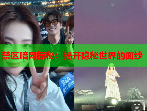 禁区暗网探秘：揭开隐秘世界的面纱