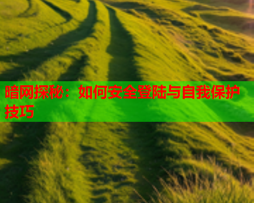 暗网探秘：如何安全登陆与自我保护技巧
