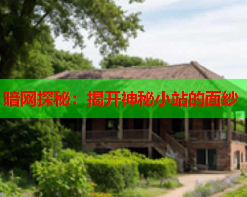 暗网探秘：揭开神秘小站的面纱