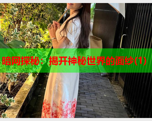 暗网探秘：揭开神秘世界的面纱(1)