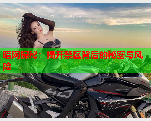 暗网探秘：揭开禁区背后的秘密与风险