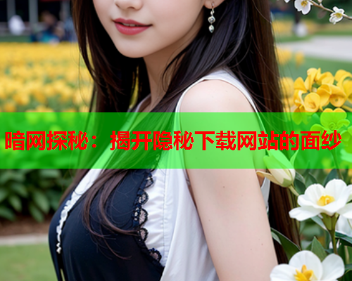 暗网探秘：揭开隐秘下载网站的面纱