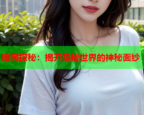 暗网探秘：揭开隐秘世界的神秘面纱