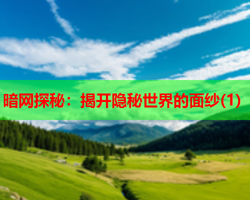 暗网探秘：揭开隐秘世界的面纱(1)