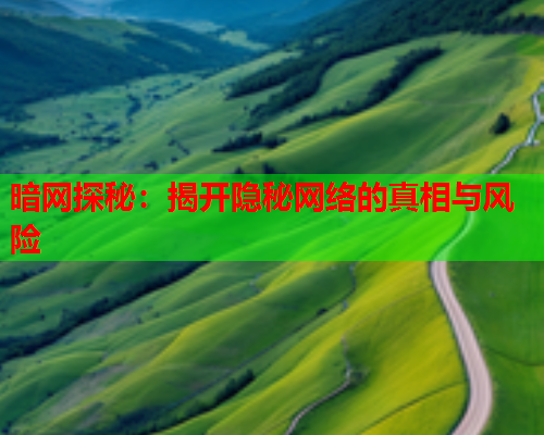 暗网探秘：揭开隐秘网络的真相与风险