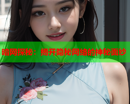 暗网探秘：揭开隐秘网络的神秘面纱