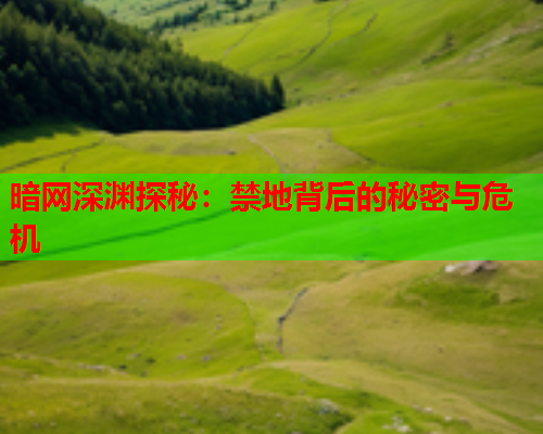 暗网深渊探秘：禁地背后的秘密与危机