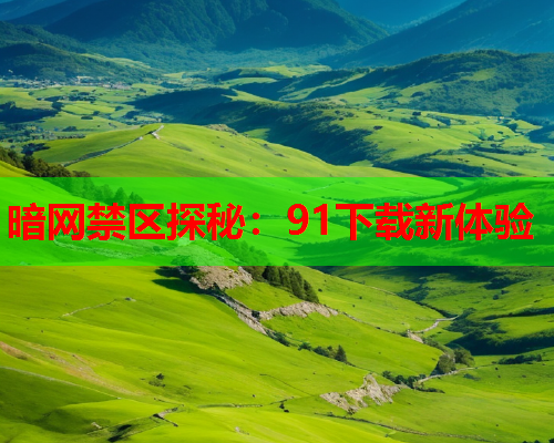 暗网禁区探秘：91下载新体验