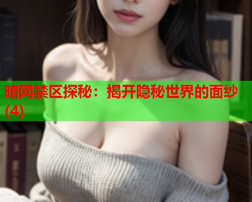 暗网禁区探秘：揭开隐秘世界的面纱(4)
