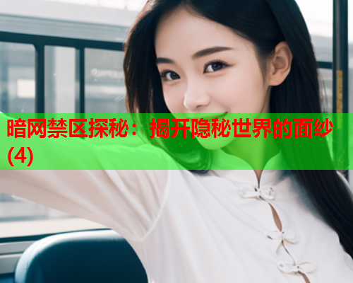暗网禁区探秘：揭开隐秘世界的面纱(4)