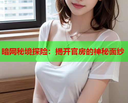暗网秘境探险：揭开官房的神秘面纱