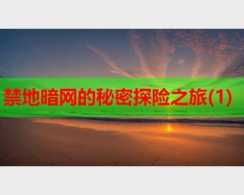 禁地暗网的秘密探险之旅(1)