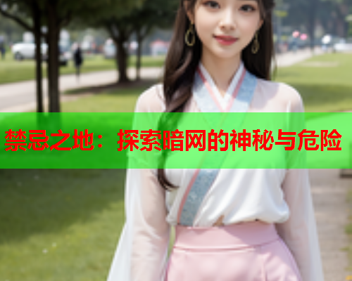 禁忌之地：探索暗网的神秘与危险