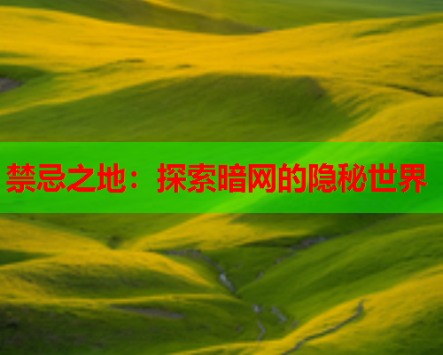 禁忌之地：探索暗网的隐秘世界