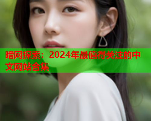 暗网探索：2024年最值得关注的中文网站合集