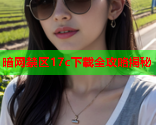暗网禁区17c下载全攻略揭秘