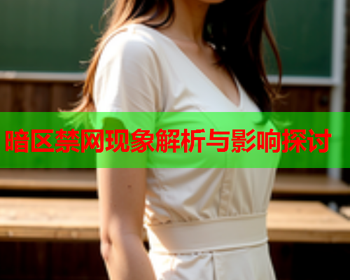 暗区禁网现象解析与影响探讨