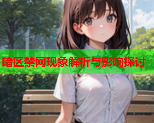 暗区禁网现象解析与影响探讨