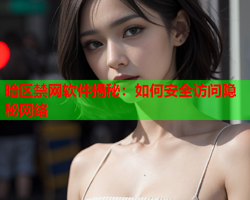 暗区禁网软件揭秘：如何安全访问隐秘网络