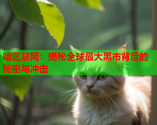 暗区禁网：揭秘全球最大黑市背后的秘密与冲击