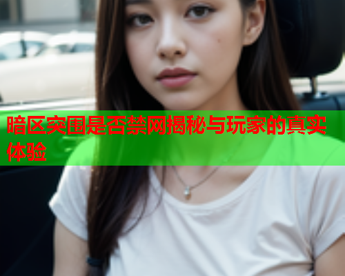 暗区突围是否禁网揭秘与玩家的真实体验