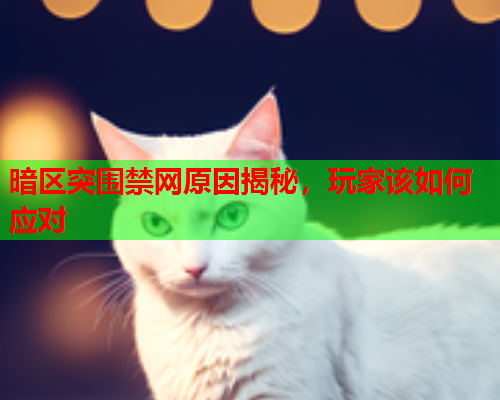 暗区突围禁网原因揭秘，玩家该如何应对