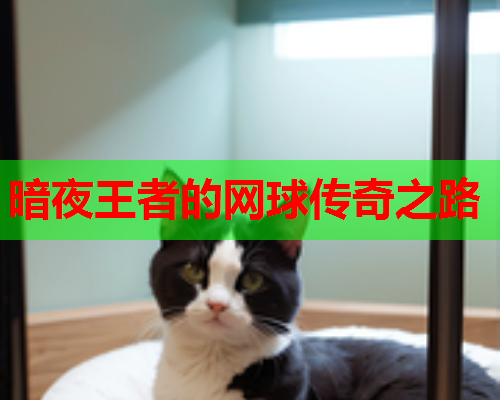 暗夜王者的网球传奇之路