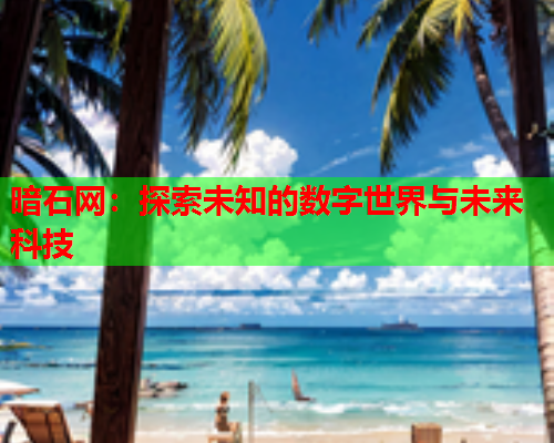 暗石网：探索未知的数字世界与未来科技