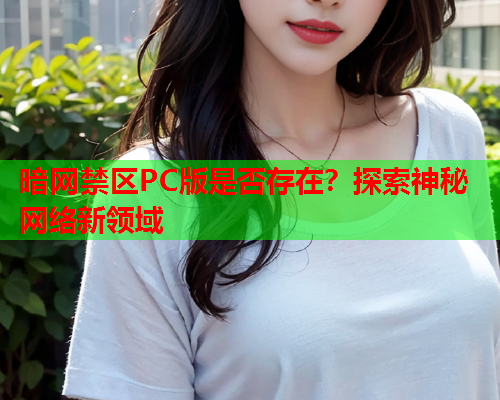暗网禁区PC版是否存在？探索神秘网络新领域