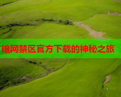 暗网禁区官方下载的神秘之旅