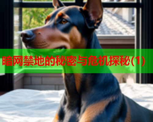 暗网禁地的秘密与危机探秘(1)