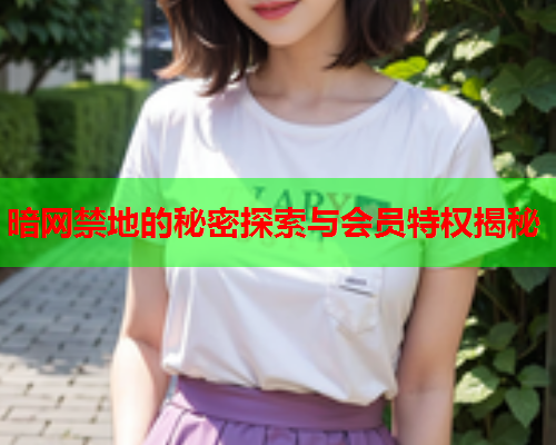 暗网禁地的秘密探索与会员特权揭秘