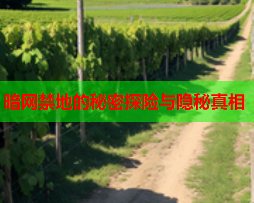 暗网禁地的秘密探险与隐秘真相