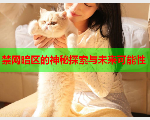 禁网暗区的神秘探索与未来可能性