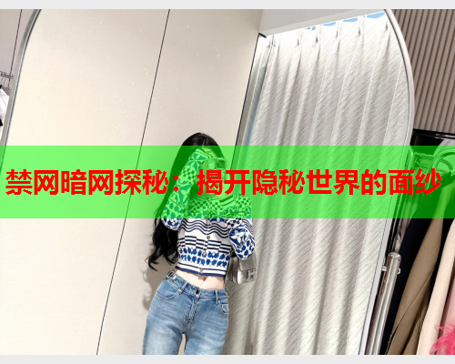 禁网暗网探秘：揭开隐秘世界的面纱
