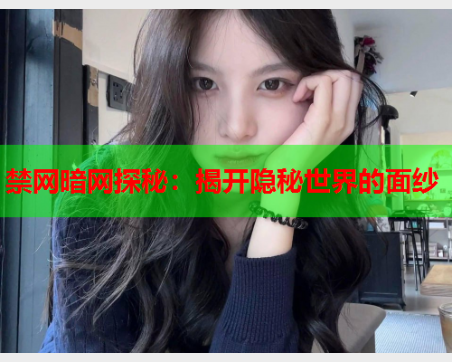 禁网暗网探秘：揭开隐秘世界的面纱