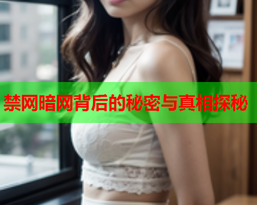 禁网暗网背后的秘密与真相探秘