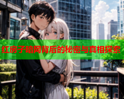 红房子暗网背后的秘密与真相探索