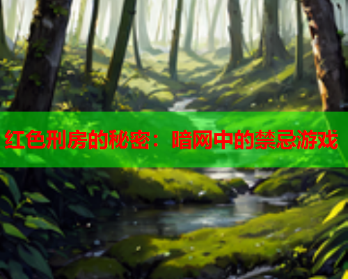 红色刑房的秘密：暗网中的禁忌游戏