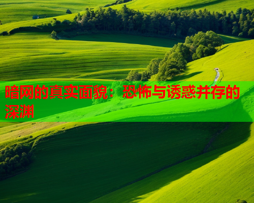 暗网的真实面貌：恐怖与诱惑并存的深渊