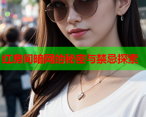 红房间暗网的秘密与禁忌探索