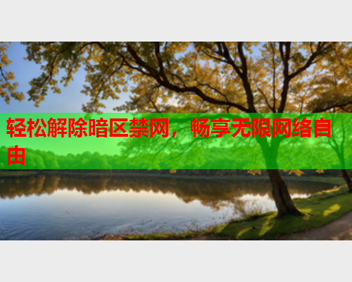轻松解除暗区禁网，畅享无限网络自由
