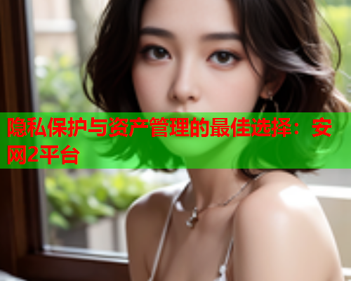隐私保护与资产管理的最佳选择：安网2平台