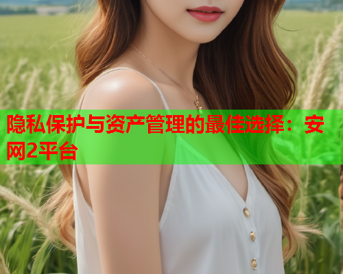 隐私保护与资产管理的最佳选择：安网2平台