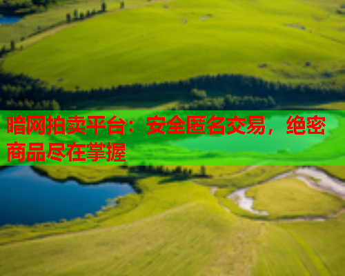 暗网拍卖平台：安全匿名交易，绝密商品尽在掌握
