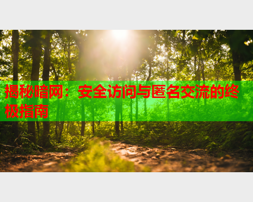 揭秘暗网：安全访问与匿名交流的终极指南