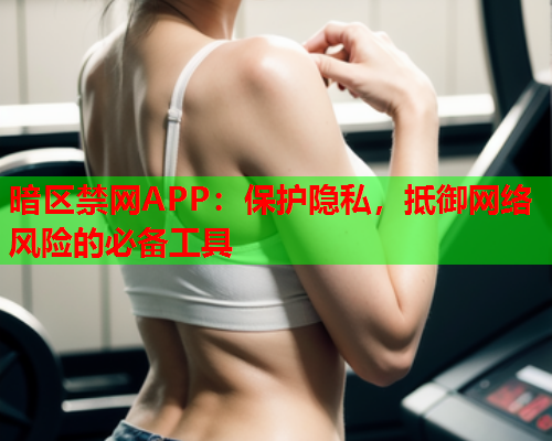 暗区禁网APP：保护隐私，抵御网络风险的必备工具