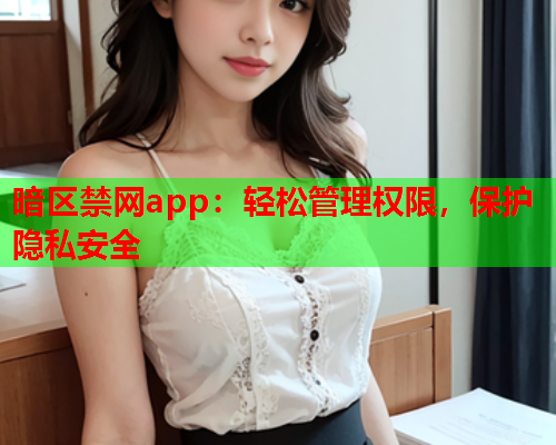 暗区禁网app：轻松管理权限，保护隐私安全